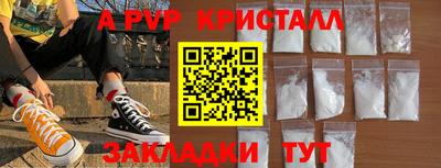a pvp Кингисепп