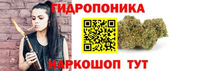 a pvp Кингисепп