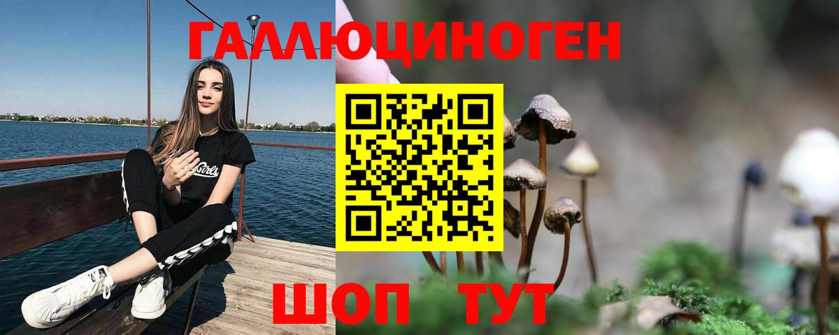 продажа наркотиков  Вход с VPN  Кемерово  Псилоцибиновые грибы MAGIC MUSHROOMS  Галлюциногенные грибы MAGIC MUSHROOMS 